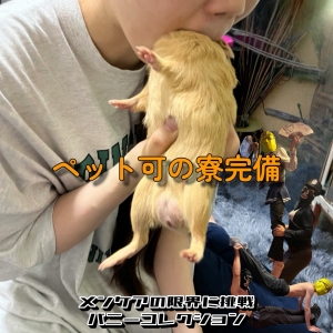 その82 かわいいかわいい