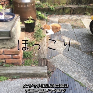 その⑤①たまには息抜き
