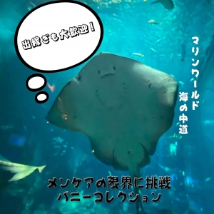 ⑦⓪エイだけにイエーイ、がはは