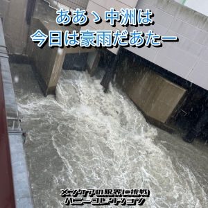 その⑦⑥