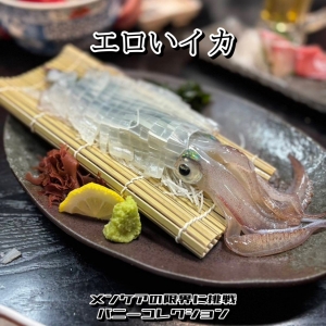 ⑦⑧えろい